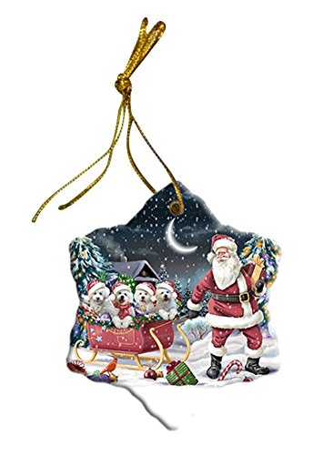 Santa Sled Dogs Bichon Frise Christmas Star Ornament POR2710