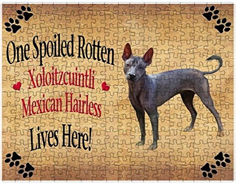 Spoiled Rotten Xoloitzcuintli Mexican Hairless Dog Puzzle with Photo Tin