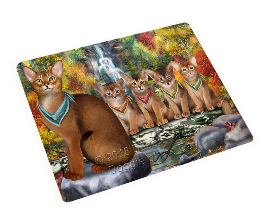 Scenic Waterfall Abyssinian Cats Large Refrigerator / Dishwasher Magnet RMAG89598