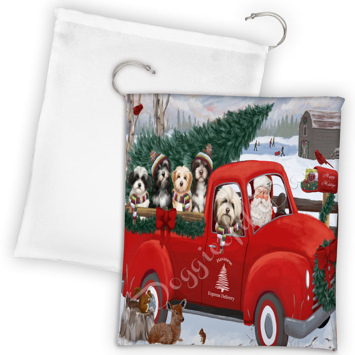 Christmas Santa Express Delivery Red Truck Havanese Dogs Drawstring Laundry or Gift Bag LGB48314