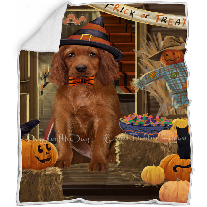 Enter at Own Risk Trick or Treat Halloween Irish Setter Dog Blanket BLNKT95808