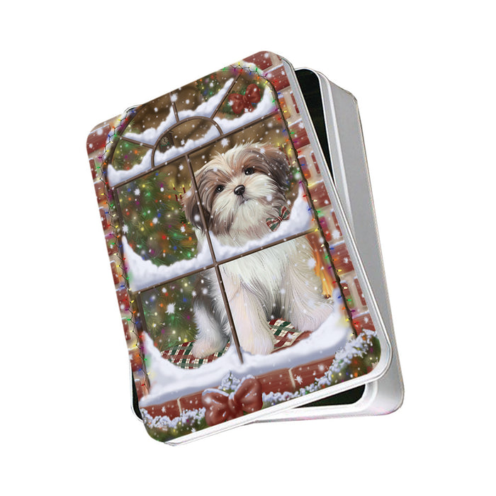 Please Come Home For Christmas Malti Tzu Dog Sitting In Window Photo Storage Tin PITN57556