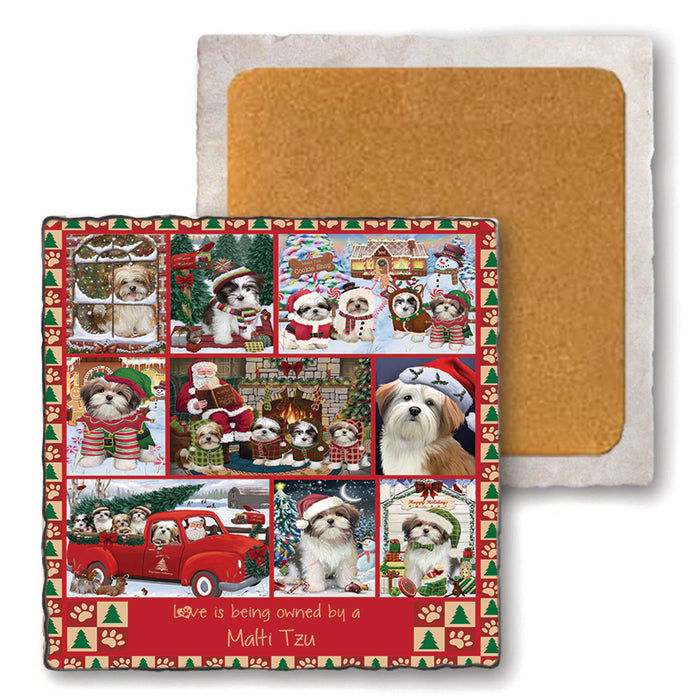 Love is Being Owned Christmas Malti Tzu Dogs Set of 4 Natural Stone Marble Tile Coasters MCST52239