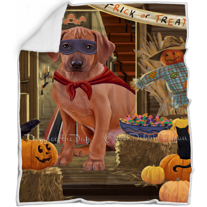 Enter at Own Risk Trick or Treat Halloween Rhodesian Ridgeback Dog Blanket BLNKT96501