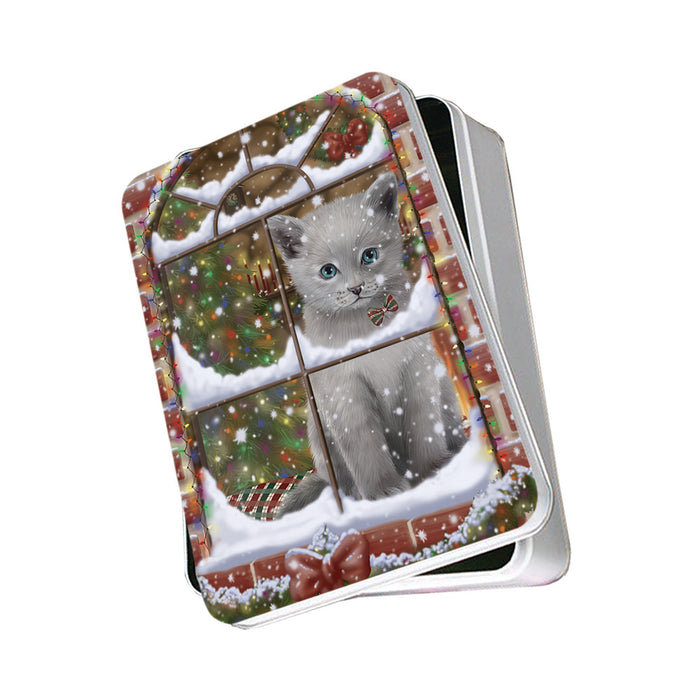 Please Come Home For Christmas Russian Blue Cat Sitting In Window Photo Storage Tin PITN57558