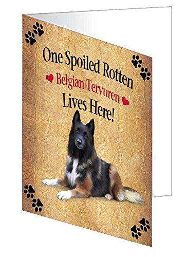Belgian Tervuren Spoiled Rotten Dog Handmade Artwork Assorted Pets Greeting Cards and Note Cards with Envelopes for All Occasions and Holiday Seasons