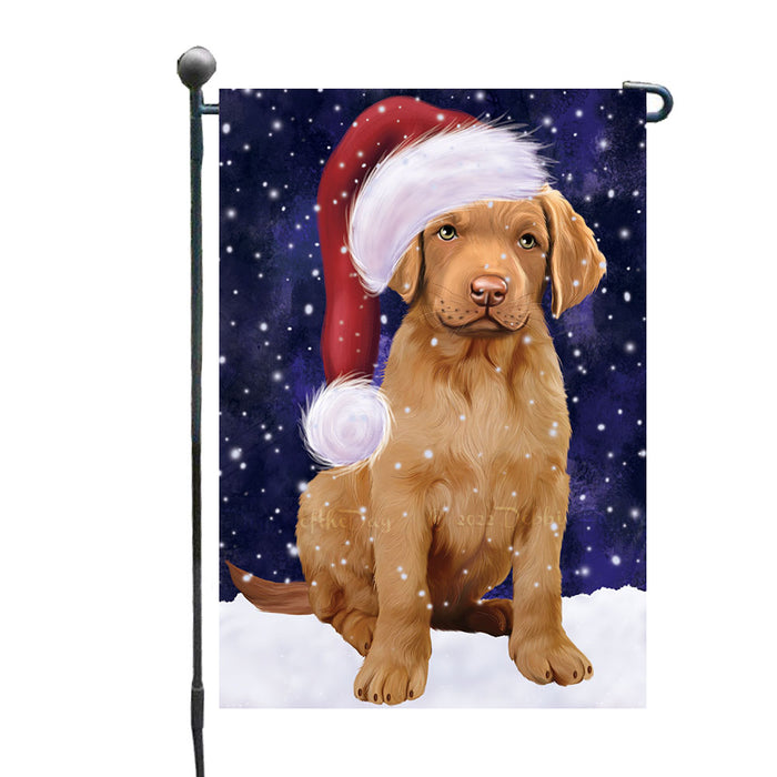 Christmas Let it Snow Chesapeake Bay Retriever Dog Garden Flags Outdoor Decor for Homes and Gardens Double Sided Garden Yard Spring Decorative Vertical Home Flags Garden Porch Lawn Flag for Decorations GFLG68794