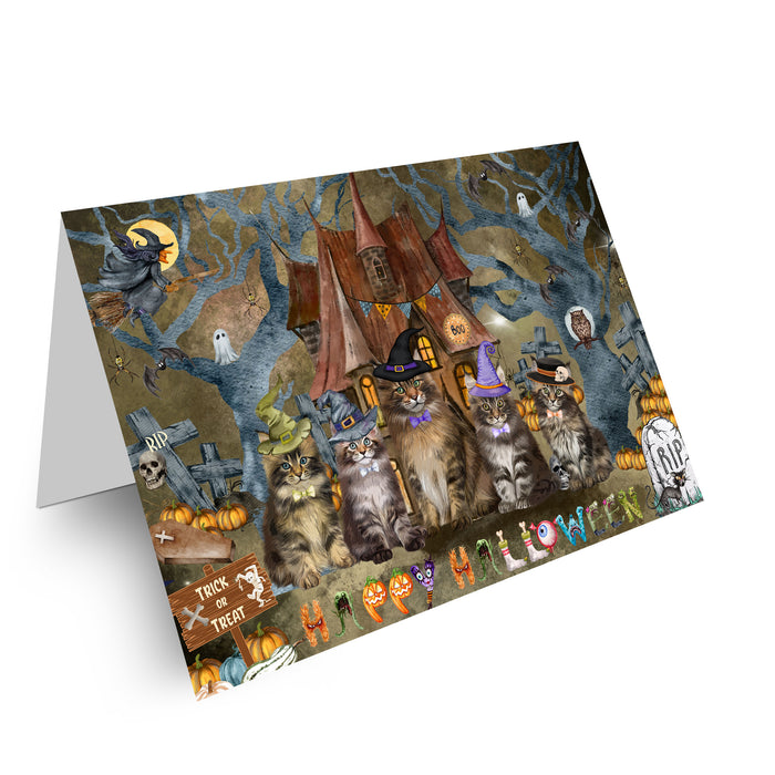 Maine Coon Greeting Cards & Note Cards: Explore a Variety of Designs, Custom, Personalized, Halloween Invitation Card with Envelopes, Gifts for Cat Lovers