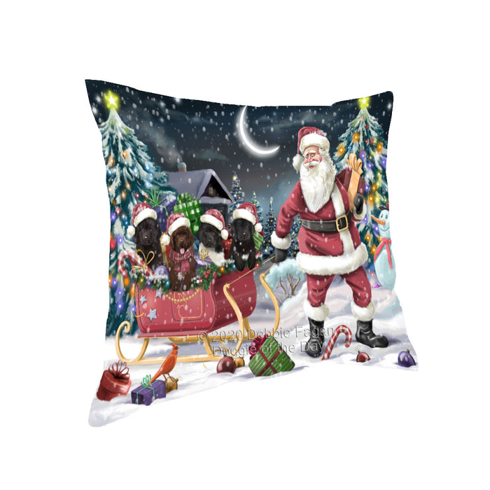 Christmas Santa Sled Newfoundland Dogs Pillow with Top Quality High-Resolution Images - Ultra Soft Pet Pillows for Sleeping - Reversible & Comfort - Ideal Gift for Dog Lover - Cushion for Sofa Couch Bed - 100% Polyester