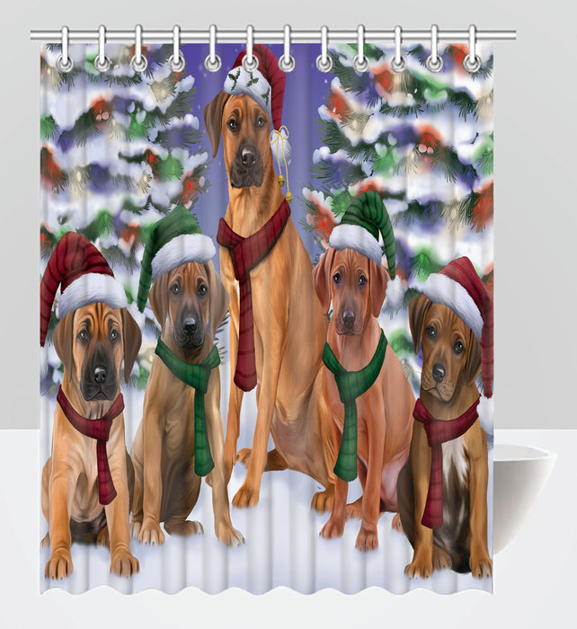 Rhodesian Ridgeback Dogs Christmas Family Portrait in Holiday Scenic Background Shower Curtain