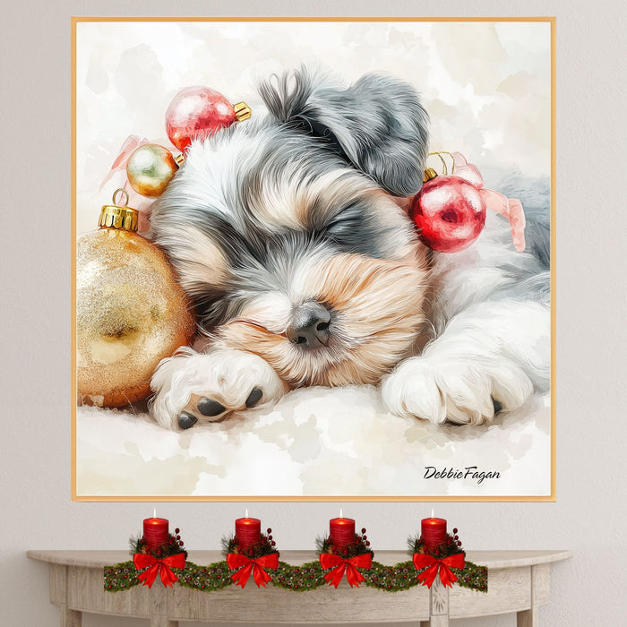 Schnauzer Christmas Canvas - "Holiday Slumber" - Adorable Puppy Snuggled Beside Festive Ornament on Ready to Hang 1.5" Thick Canvas Wrap, Floating Framed Canvas, Flat Rolled Canvas