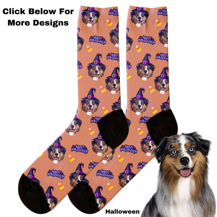 Customized Pilgrim and Pumpkins Socks, Cute Dog and Cat Photo on Custom Socks, Personalized Socks Gift for Pet Lovers