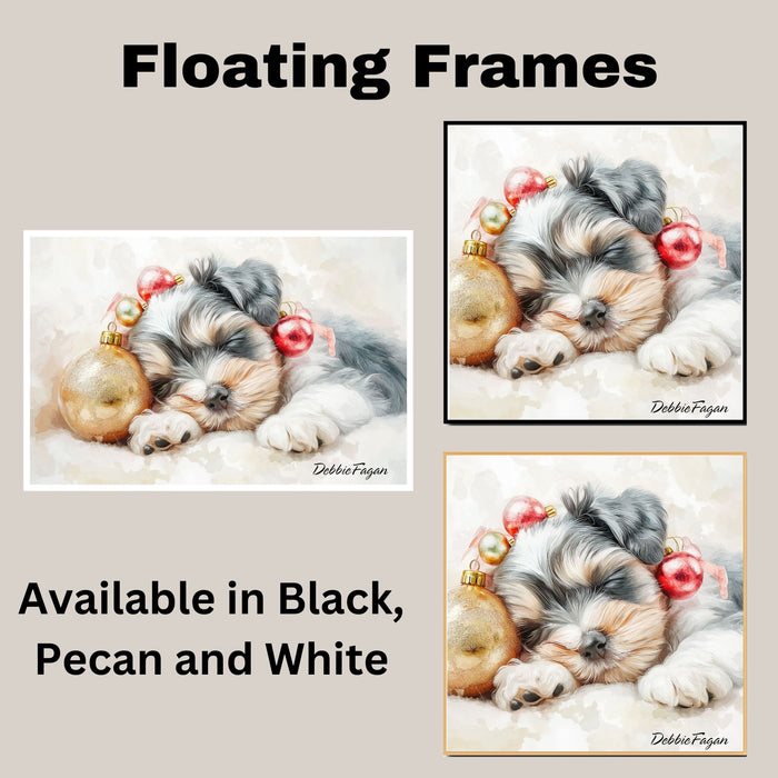 Schnauzer Christmas Canvas - "Holiday Slumber" - Adorable Puppy Snuggled Beside Festive Ornament on Ready to Hang 1.5" Thick Canvas Wrap, Floating Framed Canvas, Flat Rolled Canvas