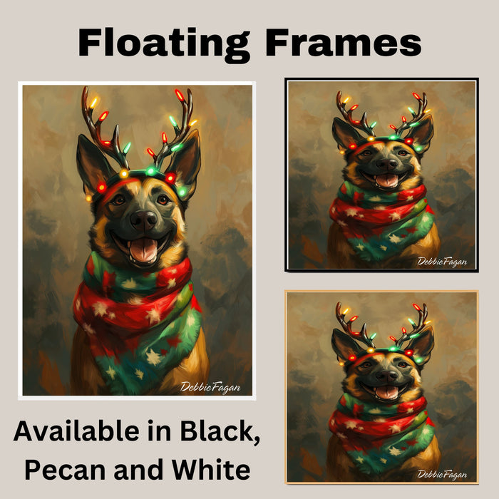 Rustic Antlers' - Belgian Malinois Dog with Lighted Antlers & Festive Scarf on Rustic Canvas, Ready to Hang 1.5" Thick Canvas Wrap, Floating Framed Canvas, Flat Rolled Canvas