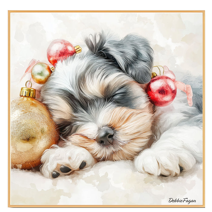 Schnauzer Christmas Canvas - "Holiday Slumber" - Adorable Puppy Snuggled Beside Festive Ornament on Ready to Hang 1.5" Thick Canvas Wrap, Floating Framed Canvas, Flat Rolled Canvas