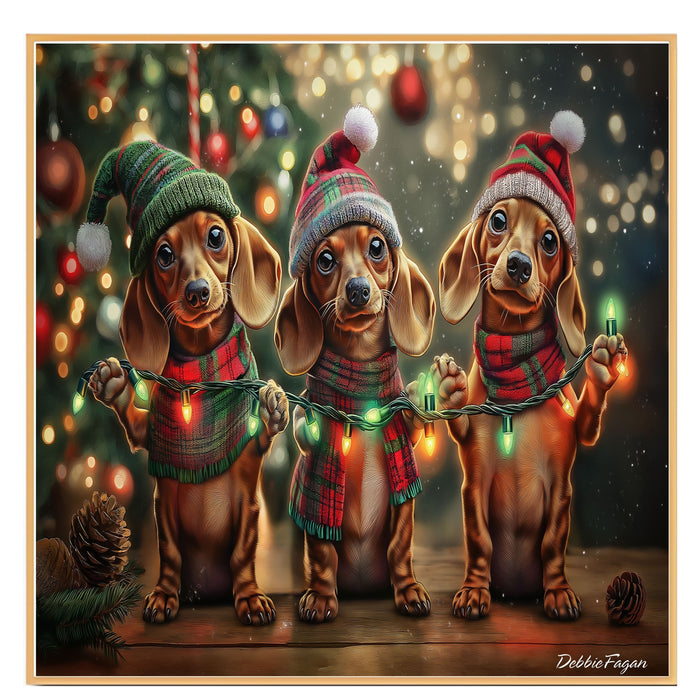 Christmas Canvas - "Holiday Cheer" - Adorable Doxie in Festive Winter Attire Holding Christmas String Lights on Ready to Hang 1.5" Thick Canvas Wrap, Floating Framed Canvas, Flat Rolled Canvas