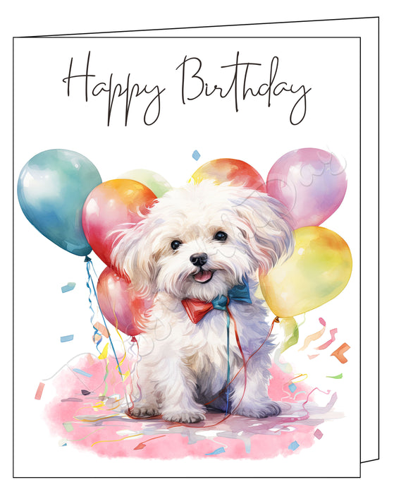 Happy Birthday Greeting Cards Maltese - Cute Note Cards for Dog Lovers - Blank Inside Envelope Included, GCHB00201