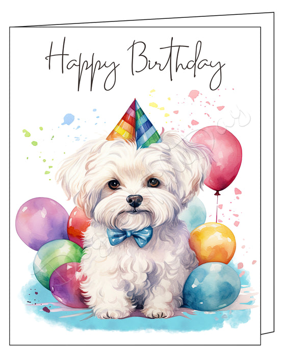 Happy Birthday Greeting Cards Maltese - Cute Note Cards for Dog Lovers - Blank Inside Envelope Included, GCHB00204