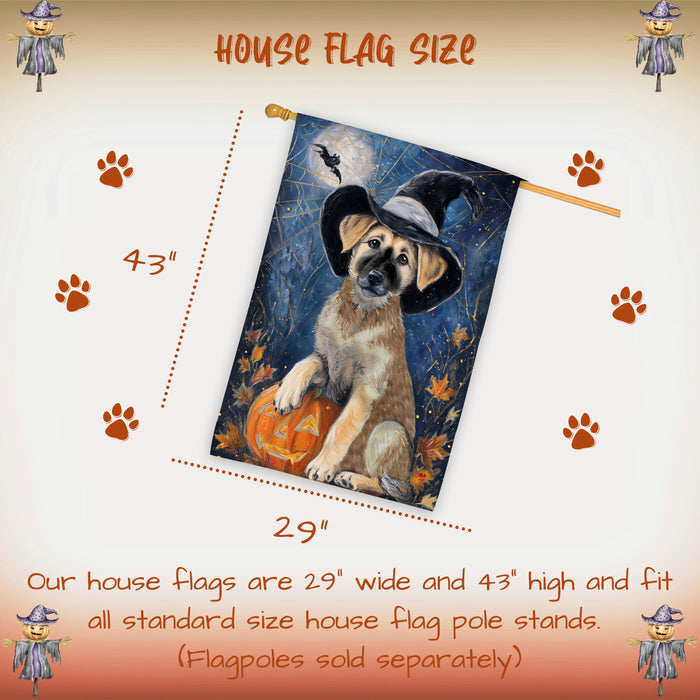 Anatolian Shepherd Dog Halloween House Flag with Pumpkin and Spider Web Fall Harvest Porch Banner Autumn Farmhouse Outdoor Home Decoration for Dog Lovers Double Sided 28 x 40
