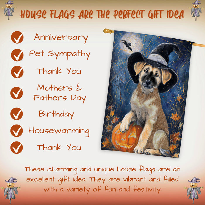 Anatolian Shepherd Dog Halloween House Flag with Pumpkin and Spider Web Fall Harvest Porch Banner Autumn Farmhouse Outdoor Home Decoration for Dog Lovers Double Sided 28 x 40