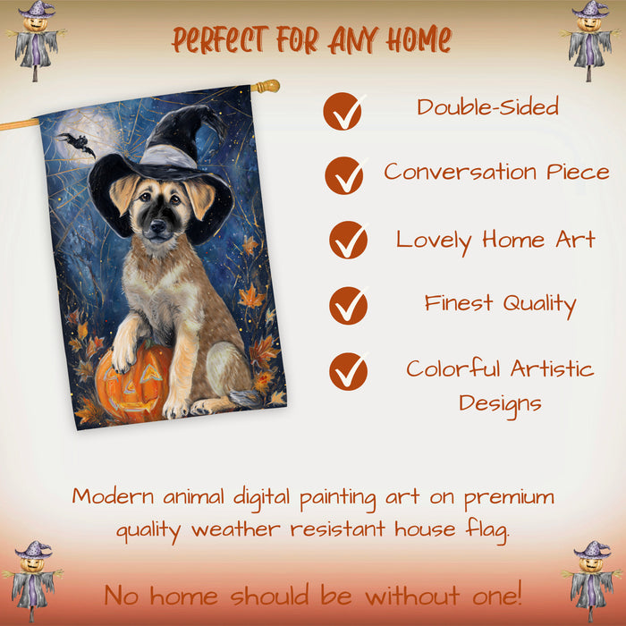 Anatolian Shepherd Dog Halloween House Flag with Pumpkin and Spider Web Fall Harvest Porch Banner Autumn Farmhouse Outdoor Home Decoration for Dog Lovers Double Sided 28 x 40