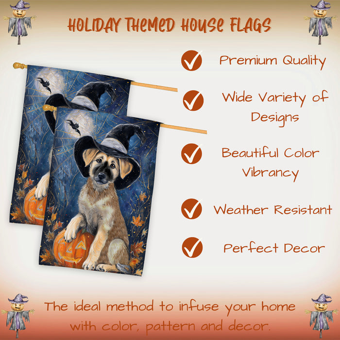 Anatolian Shepherd Dog Halloween House Flag with Pumpkin and Spider Web Fall Harvest Porch Banner Autumn Farmhouse Outdoor Home Decoration for Dog Lovers Double Sided 28 x 40