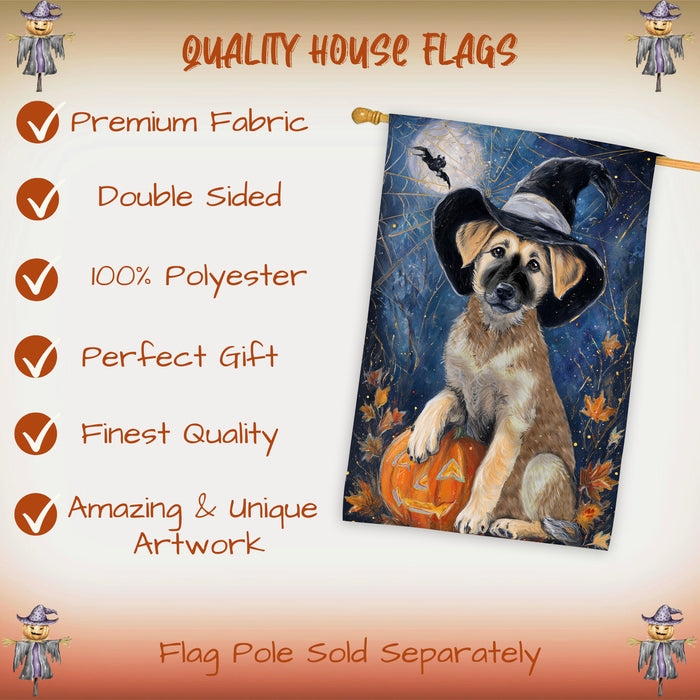 Anatolian Shepherd Dog Halloween House Flag with Pumpkin and Spider Web Fall Harvest Porch Banner Autumn Farmhouse Outdoor Home Decoration for Dog Lovers Double Sided 28 x 40
