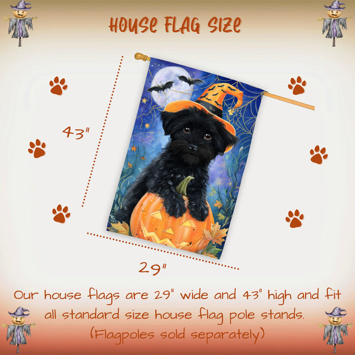 Affenpinscher Dog Halloween House Flag with Witch Hat Pumpkin and Spider Web Fall Harvest Porch Banner Autumn Farmhouse Outdoor Home Decoration for Dog Lovers Double Sided 28 x 40