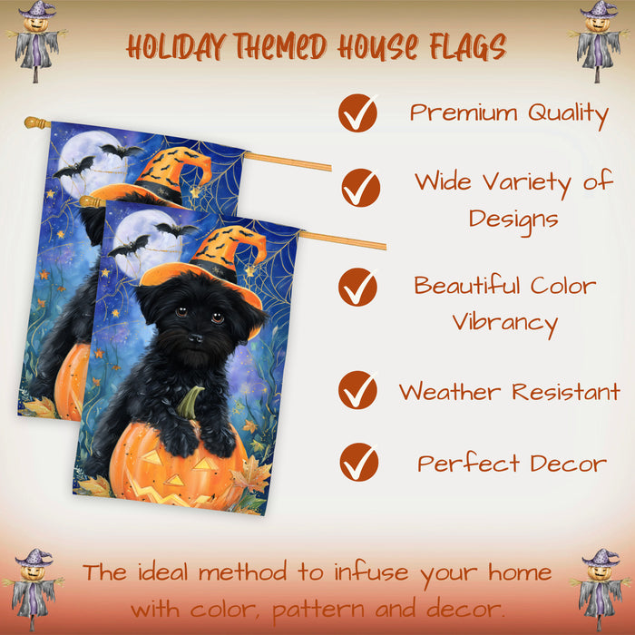 Affenpinscher Dog Halloween House Flag with Witch Hat Pumpkin and Spider Web Fall Harvest Porch Banner Autumn Farmhouse Outdoor Home Decoration for Dog Lovers Double Sided 28 x 40