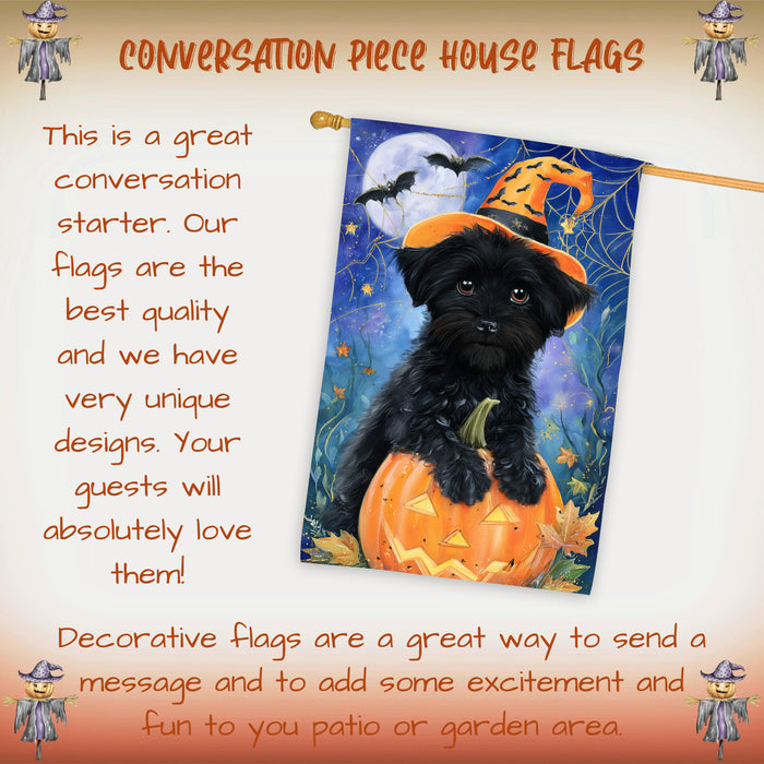 Affenpinscher Dog Halloween House Flag with Witch Hat Pumpkin and Spider Web Fall Harvest Porch Banner Autumn Farmhouse Outdoor Home Decoration for Dog Lovers Double Sided 28 x 40