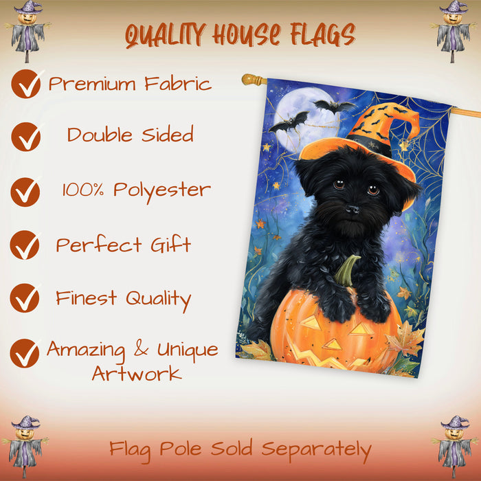 Affenpinscher Dog Halloween House Flag with Witch Hat Pumpkin and Spider Web Fall Harvest Porch Banner Autumn Farmhouse Outdoor Home Decoration for Dog Lovers Double Sided 28 x 40