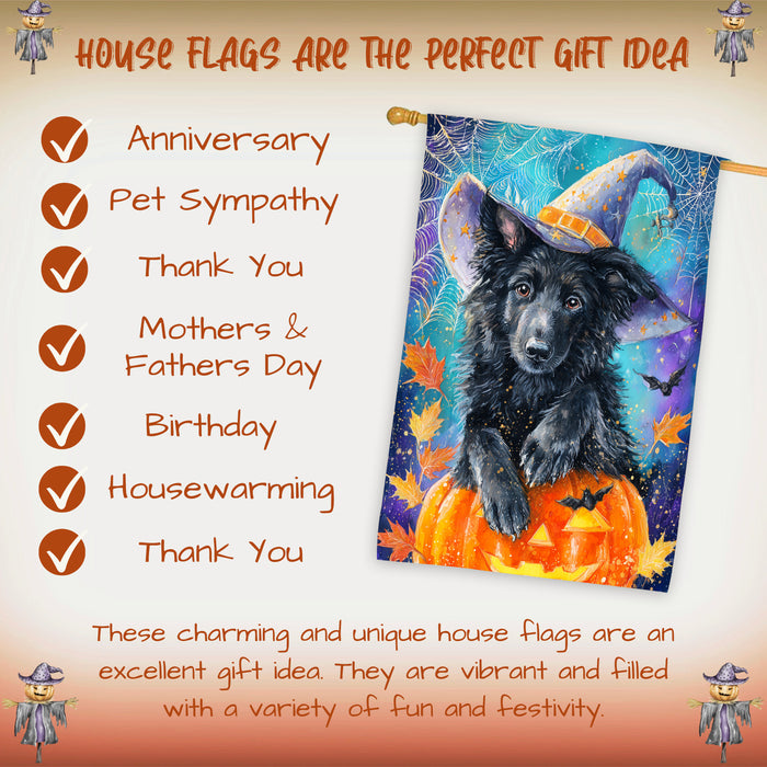 Belgian Shepherd Dog Halloween House Flag with Pumpkin Bat Full Moon and Witch Hat Fall Harvest Porch Banner Autumn Farmhouse Outdoor Home Decoration for Dog Lovers Double Sided 28 x 40