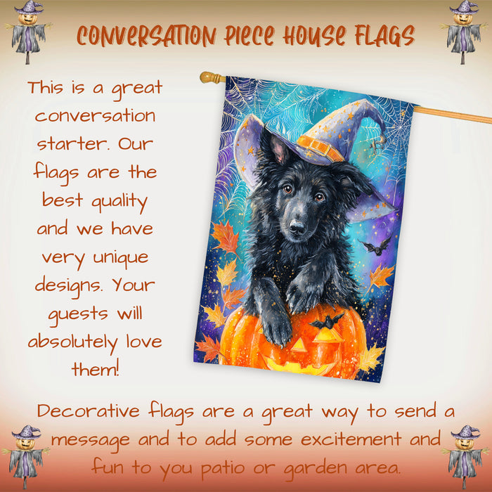Belgian Shepherd Dog Halloween House Flag with Pumpkin Bat Full Moon and Witch Hat Fall Harvest Porch Banner Autumn Farmhouse Outdoor Home Decoration for Dog Lovers Double Sided 28 x 40