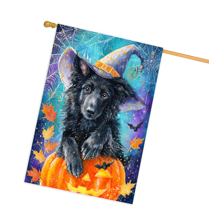 Belgian Shepherd Dog Halloween House Flag with Pumpkin Bat Full Moon and Witch Hat Fall Harvest Porch Banner Autumn Farmhouse Outdoor Home Decoration for Dog Lovers Double Sided 28 x 40