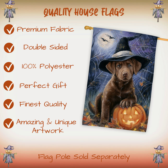 Chesapeake Bay Retriever Dog Halloween House Flag with Pumpkin and Happy Halloween Fall Harvest Porch Banner Autumn Farmhouse Outdoor Home Decoration for Dog Lovers Double Sided 28 x 40