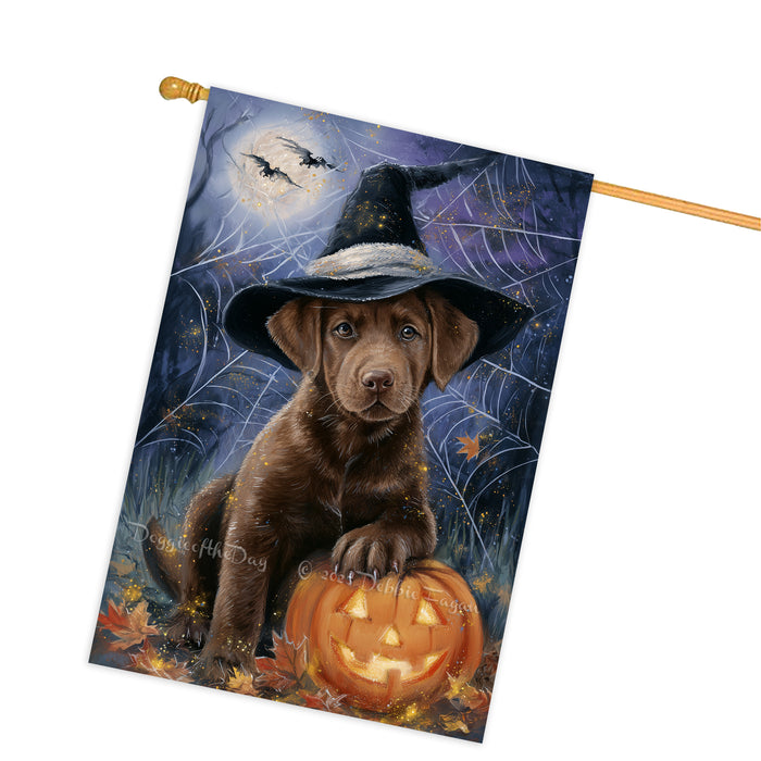 Chesapeake Bay Retriever Dog Halloween House Flag with Pumpkin and Happy Halloween Fall Harvest Porch Banner Autumn Farmhouse Outdoor Home Decoration for Dog Lovers Double Sided 28 x 40