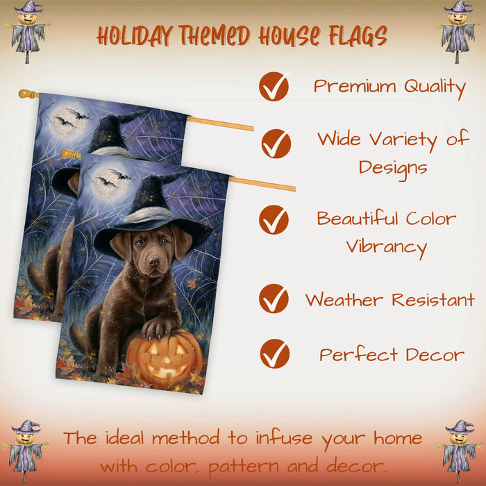 Chesapeake Bay Retriever Dog Halloween House Flag with Pumpkin and Happy Halloween Fall Harvest Porch Banner Autumn Farmhouse Outdoor Home Decoration for Dog Lovers Double Sided 28 x 40