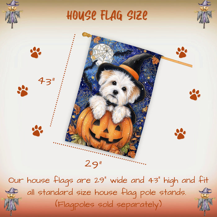Coton de Tulear Dog Halloween House Flag with Trick or Treat Witch Hat Fall Harvest Porch Banner Autumn Farmhouse Outdoor Home Decoration for Dog Lovers and Friends Double Sided 28 x 40