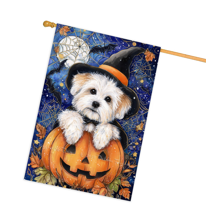 Coton de Tulear Dog Halloween House Flag with Trick or Treat Witch Hat Fall Harvest Porch Banner Autumn Farmhouse Outdoor Home Decoration for Dog Lovers and Friends Double Sided 28 x 40