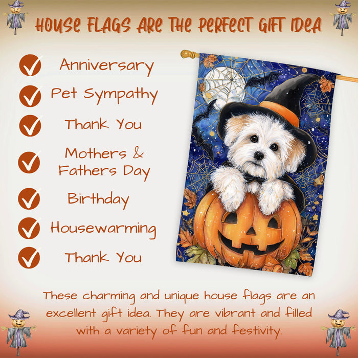 Coton de Tulear Dog Halloween House Flag with Trick or Treat Witch Hat Fall Harvest Porch Banner Autumn Farmhouse Outdoor Home Decoration for Dog Lovers and Friends Double Sided 28 x 40