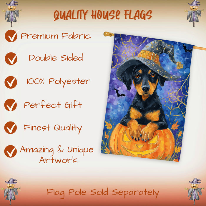 Doberman Pumpkin Fall House Flag 28 x 40 Inch Halloween Haunted Outdoor Decor Double Sided Dog Lover Gift Autumn Yard Banner
