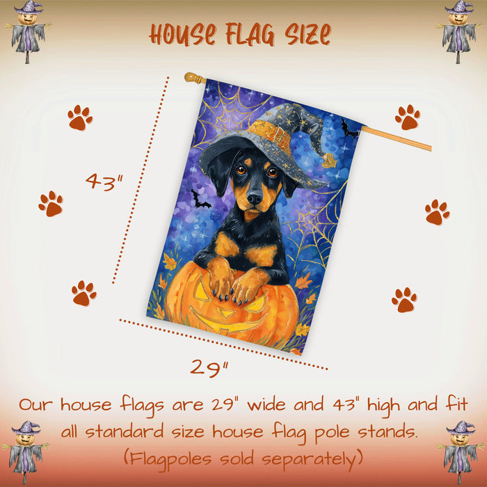 Doberman Pumpkin Fall House Flag 28 x 40 Inch Halloween Haunted Outdoor Decor Double Sided Dog Lover Gift Autumn Yard Banner