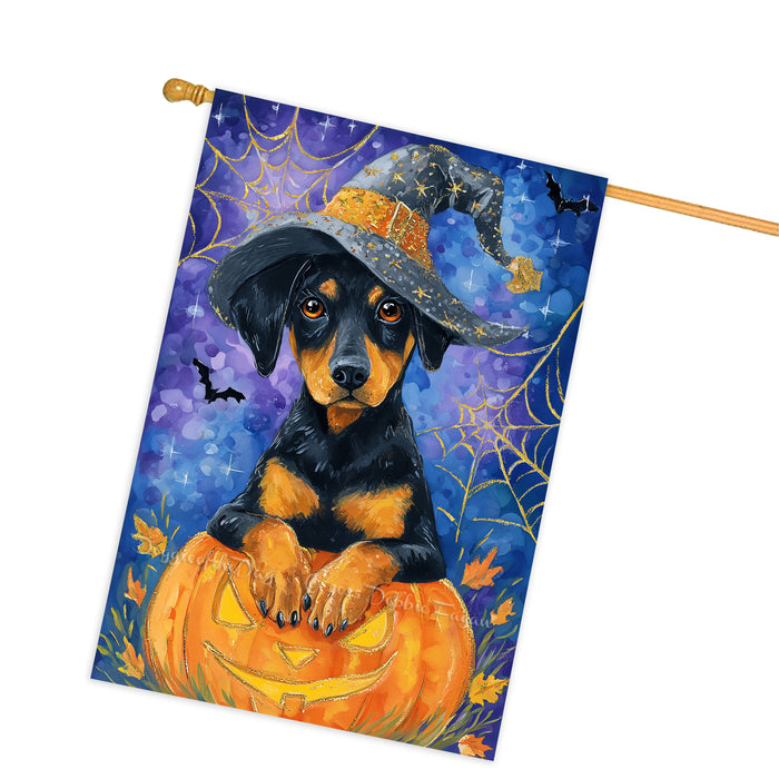 Doberman Pumpkin Fall House Flag 28 x 40 Inch Halloween Haunted Outdoor Decor Double Sided Dog Lover Gift Autumn Yard Banner