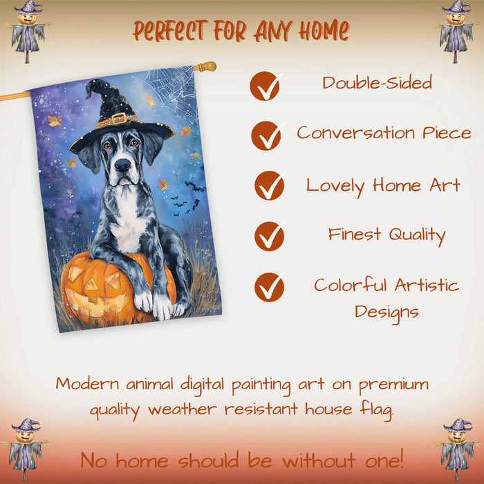 Great Dane Witch Hat Halloween House Flag 28 x 40 Inch Fall Harvest Pumpkin Design Porch Banner Double Sided Dog Lover Autumn Home Decoration