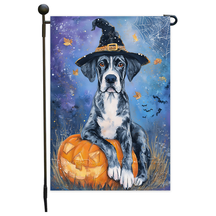 Great Dane Pumpkin Carving Garden Flag Fall Halloween Yard Decor Autumn Leaves Dog Lover Gift Spider Web Bat Design Single or Double Sided 12.5 x 18 Inch