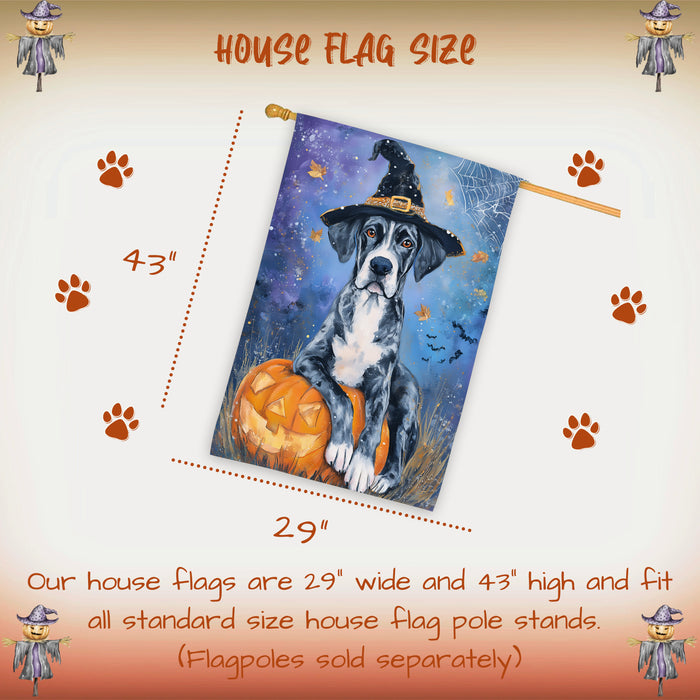 Great Dane Witch Hat Halloween House Flag 28 x 40 Inch Fall Harvest Pumpkin Design Porch Banner Double Sided Dog Lover Autumn Home Decoration