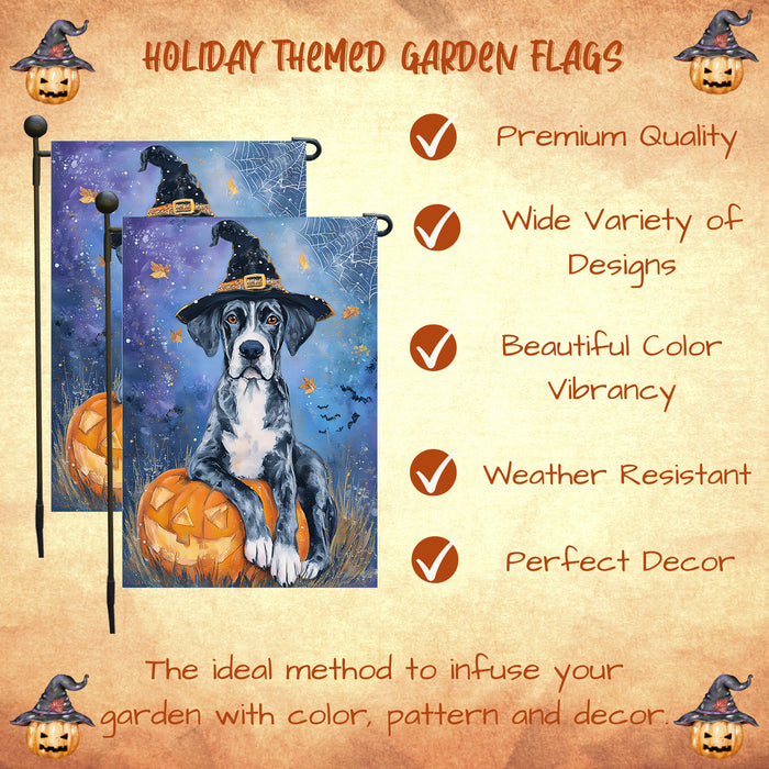 Great Dane Pumpkin Carving Garden Flag Fall Halloween Yard Decor Autumn Leaves Dog Lover Gift Spider Web Bat Design Single or Double Sided 12.5 x 18 Inch