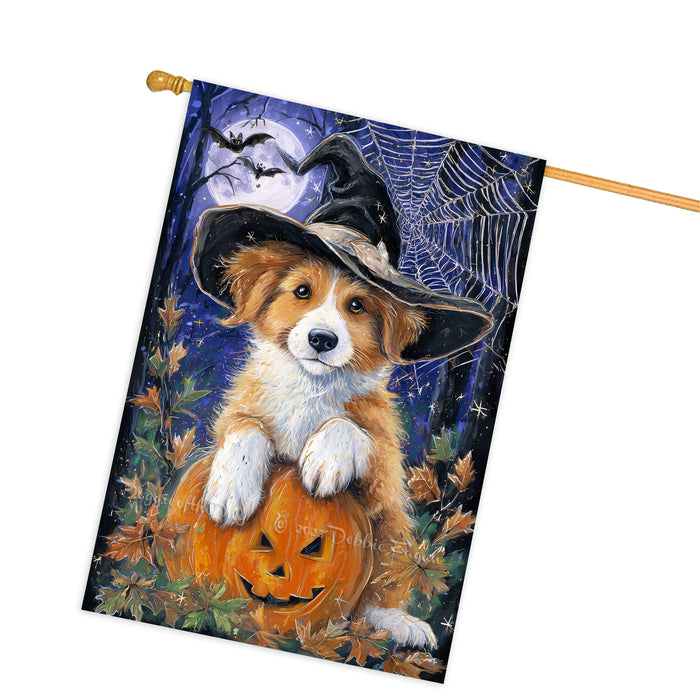 Nova Scotia Duck Tolling Retriever Halloween Witch Hat House Flag 28 x 40 Inch Double Sided Pumpkin Autumn Porch Banner Outdoor Home Decoration