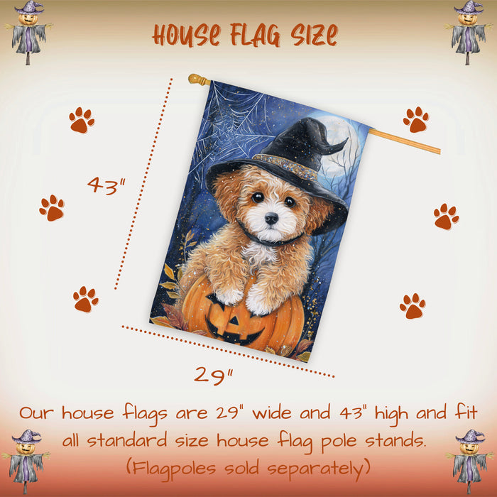 Poodle Dog Halloween House Flag Witch Hat Pumpkin Fall Outdoor Porch Decoration with Spider Web Design Double Sided 28 x 40 Inch