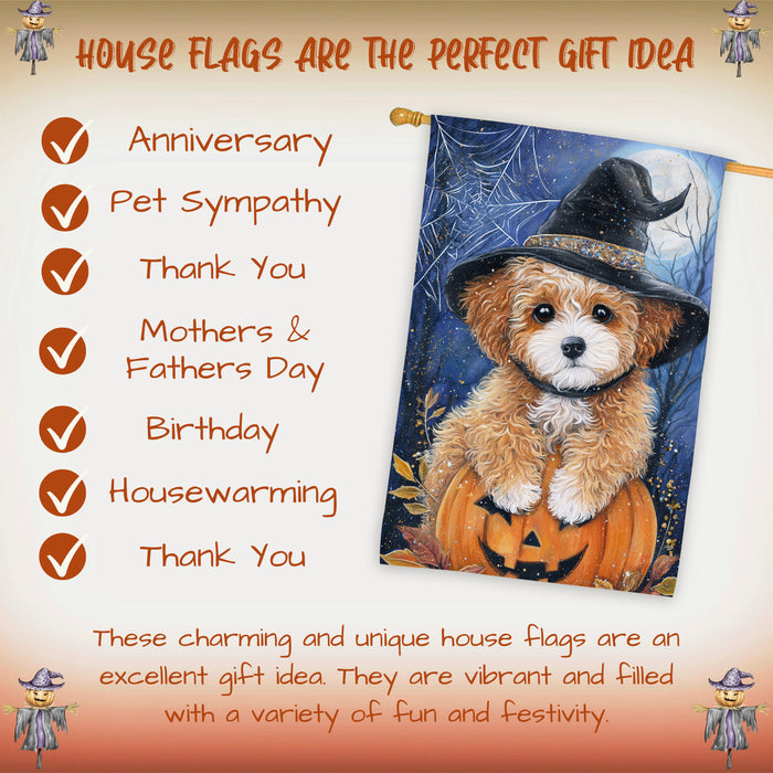 Poodle Dog Halloween House Flag Witch Hat Pumpkin Fall Outdoor Porch Decoration with Spider Web Design Double Sided 28 x 40 Inch